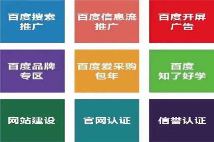 Sem优化公司成功案例：转化率提升之道